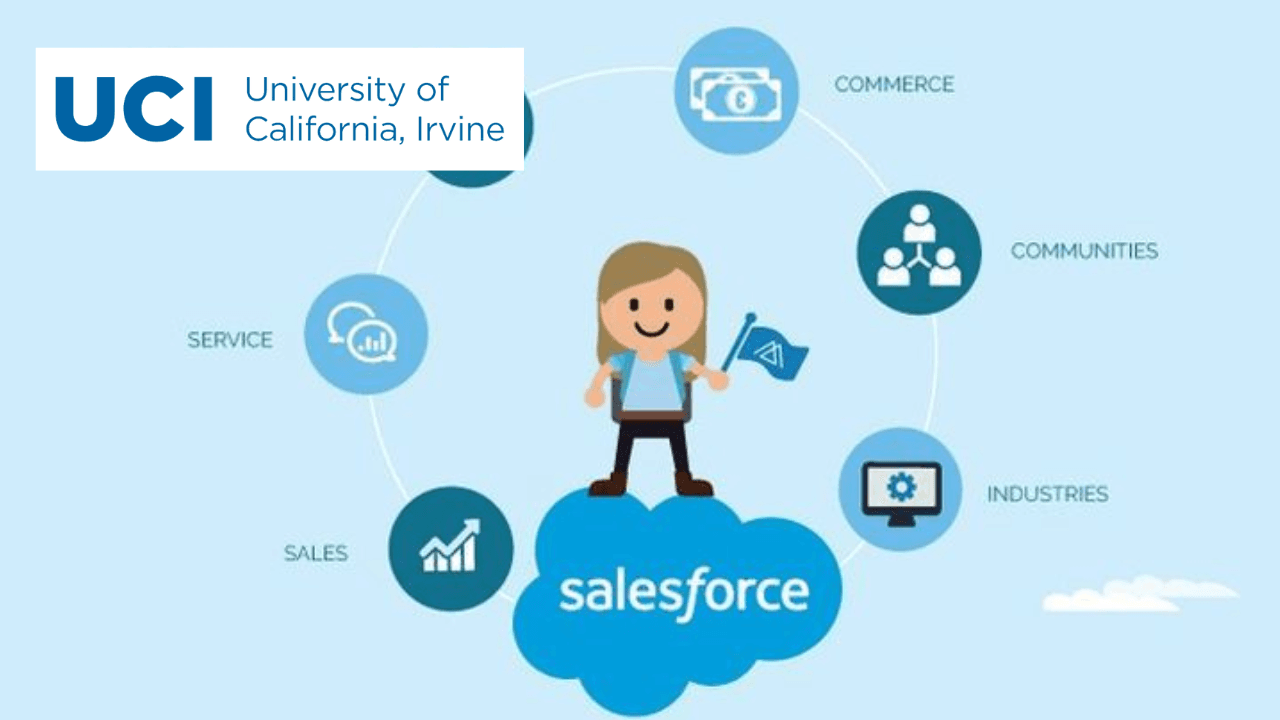 Salesforce Basics: Master CRM Fundamentals