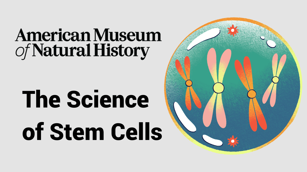 Discover Stem Cell Science: From Biology to Bioethics