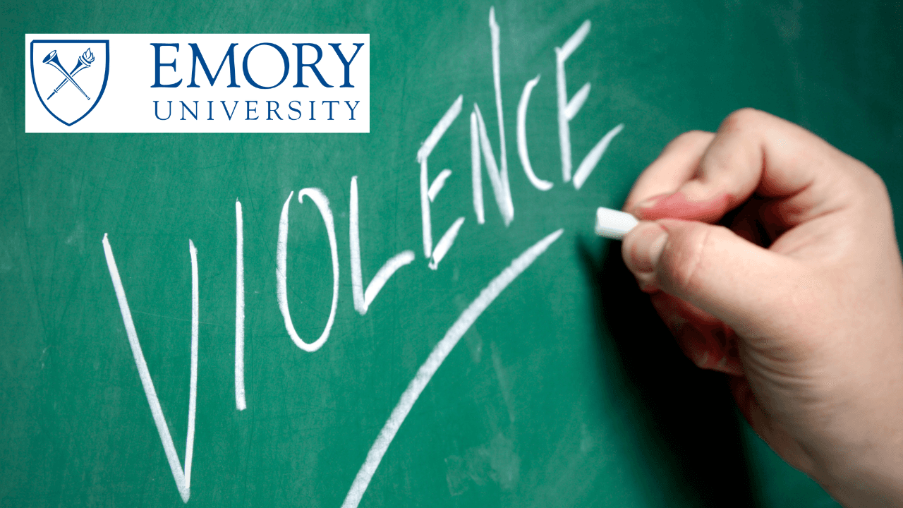 Understanding Violence