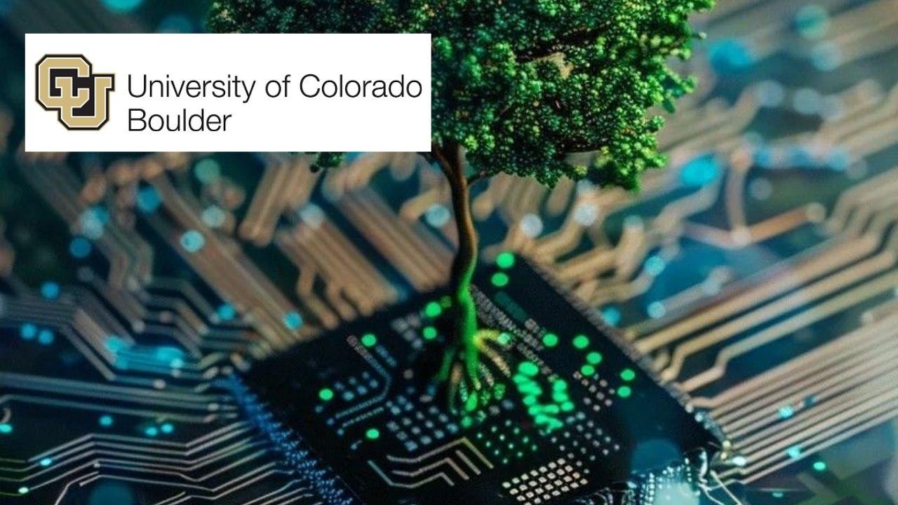 Applied Sustainability for Technical Managers