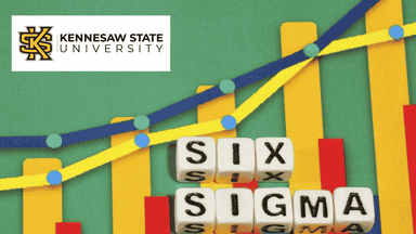 Six Sigma and the Organization (Advanced)