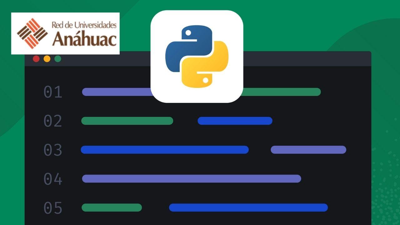 Accessing Web Data with Python: Web Scraping and APIs