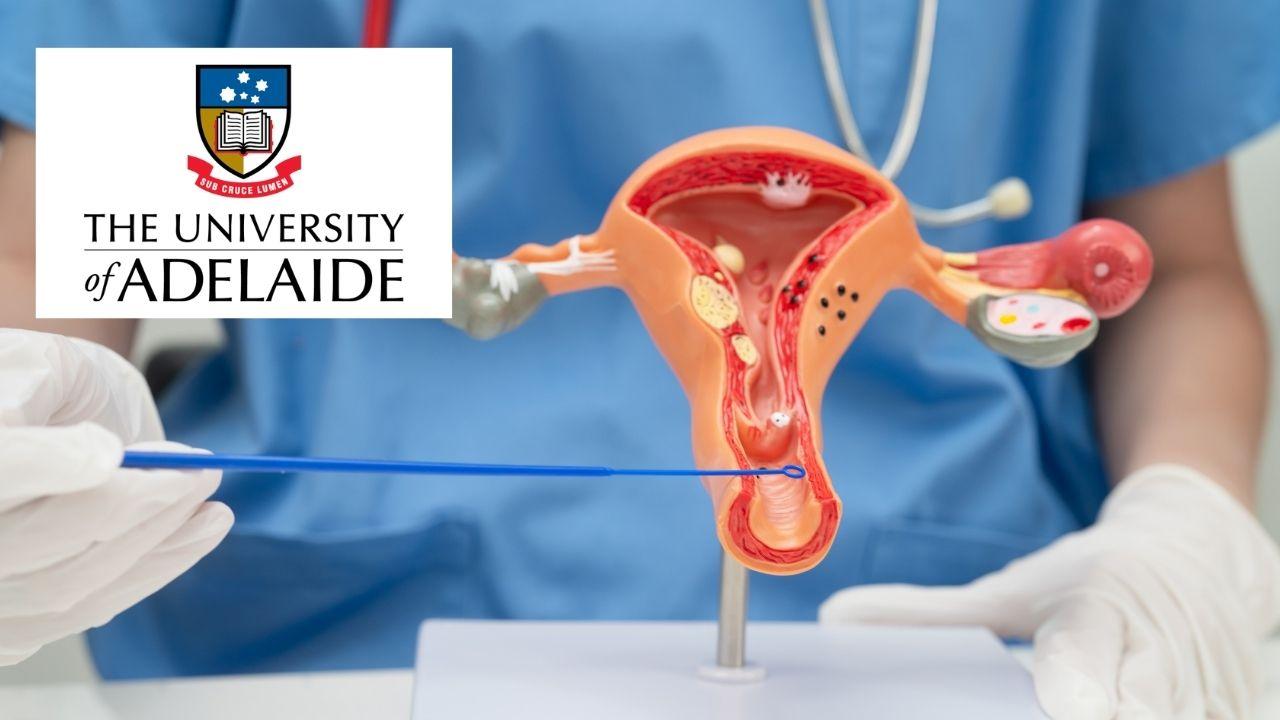 Understanding Human Reproduction: Biology and Beyond