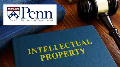 Fundamentals of Intellectual Property Law