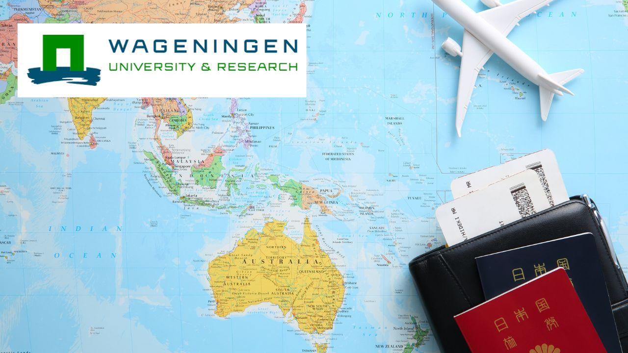 Tourism in Transition: Exploring a Sustainable Future