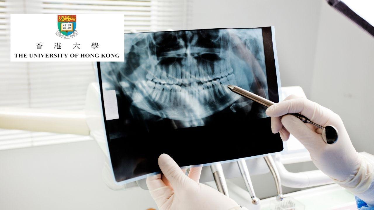 Diagnostic Imaging in Dental Medicine: 2D and 3D Modalities