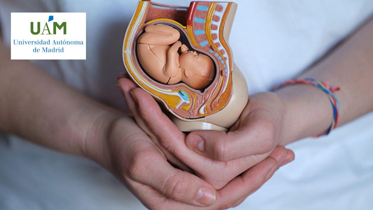 Pedagogía Prenatal: Educando Antes del Nacimiento
