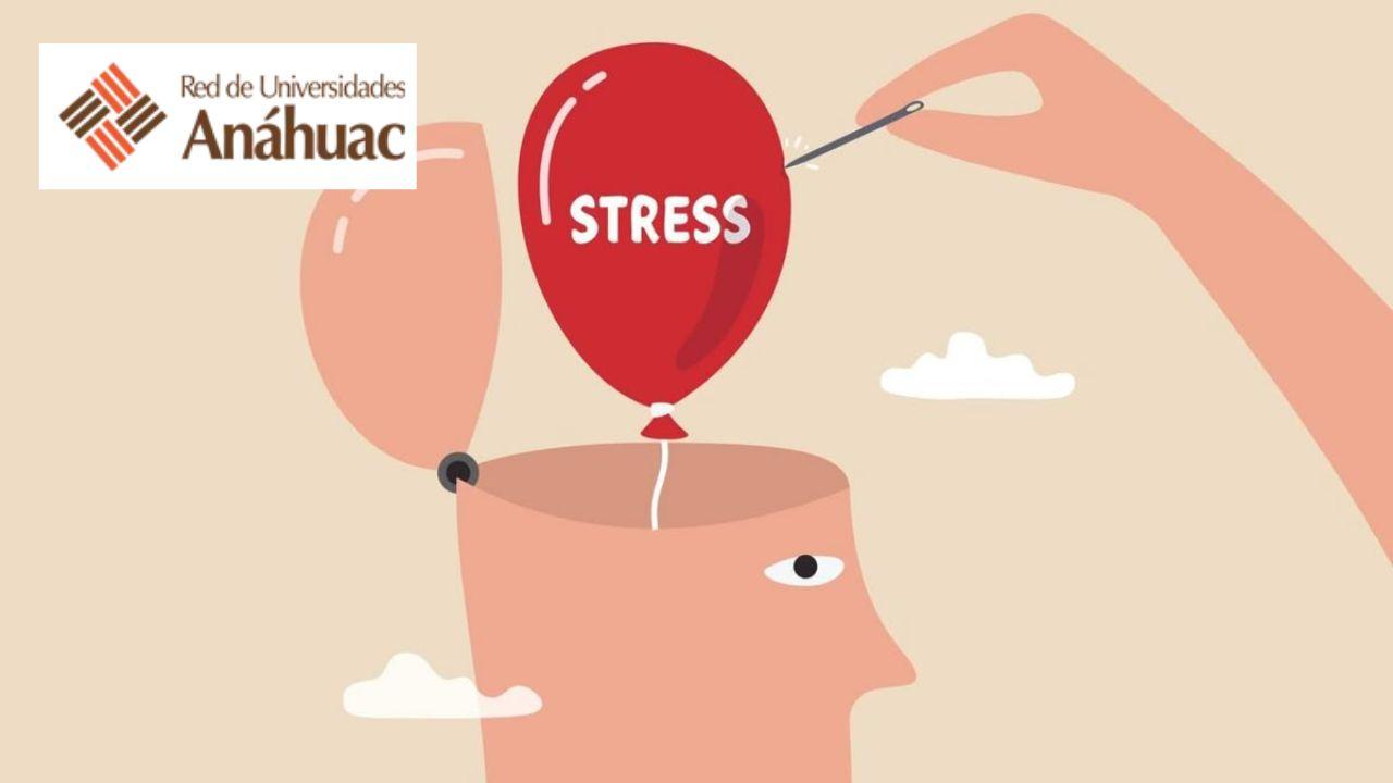 Gestión del Estrés y Mindfulness