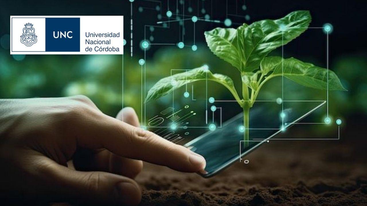 Siembra Directa: agricultura productiva sustentable