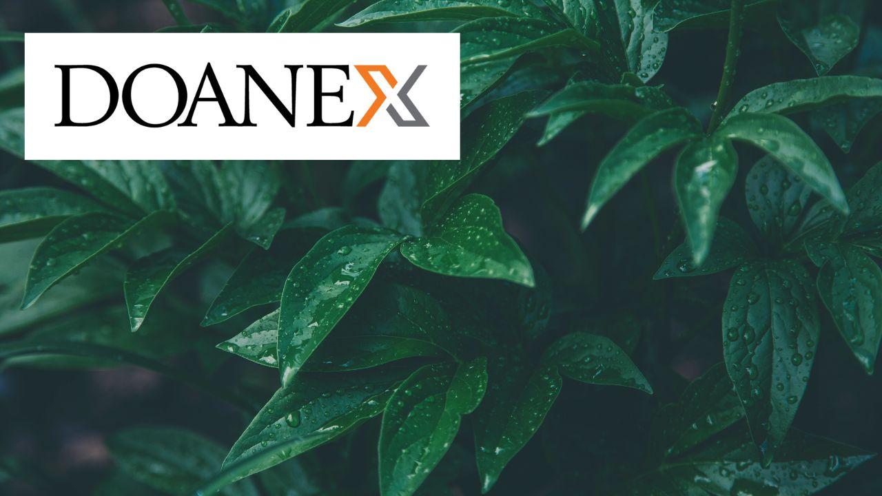 Cannabis Science and Industries: Seeds to Needs