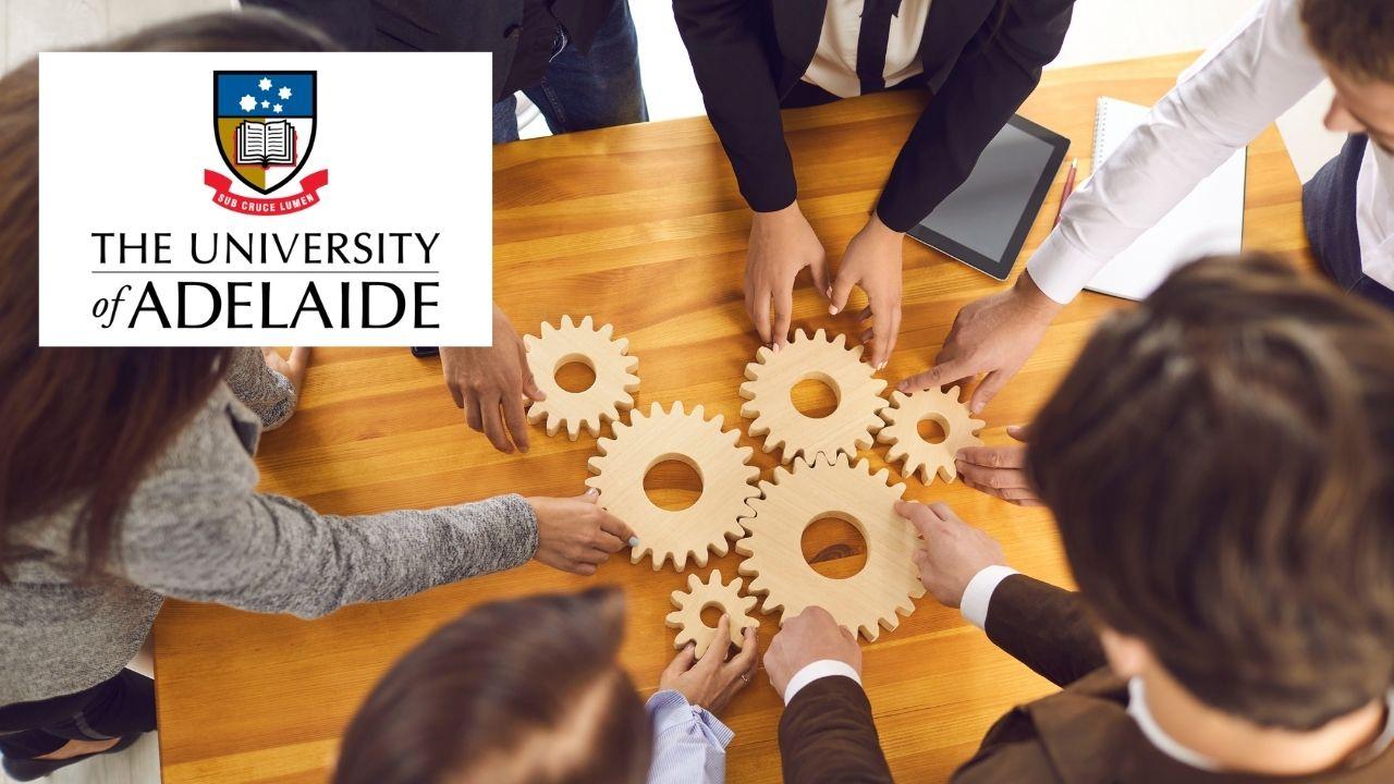 Team Performance Management Essentials