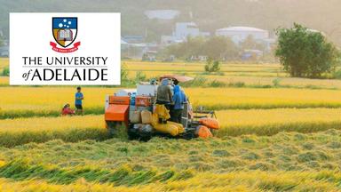 Global Food Systems and Agribusiness Management