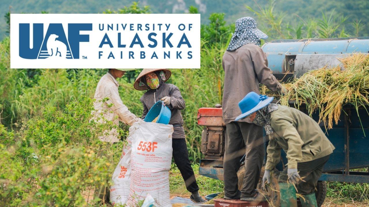 Introduction to Social Work