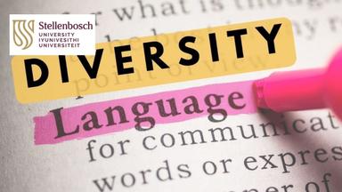 Multilingual Mastery: Embracing Linguistic Diversity