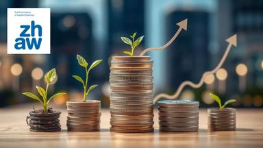 Sustainable Corporate Financing: Application