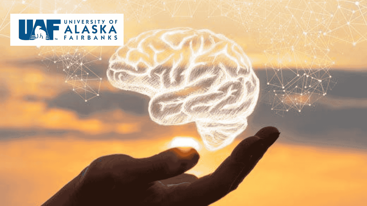 Analyzing Anxiety and Depression in Neuroscience