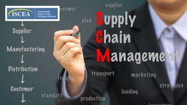 Lean Six Sigma Program and Project Management