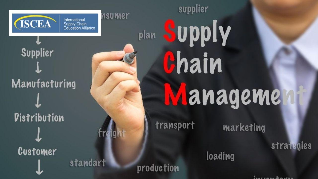 Lean Six Sigma Program and Project Management