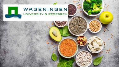 Healthy Aging Through Nutrition