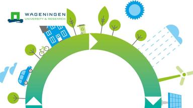 Business and Operations for a Circular Bio-Economy