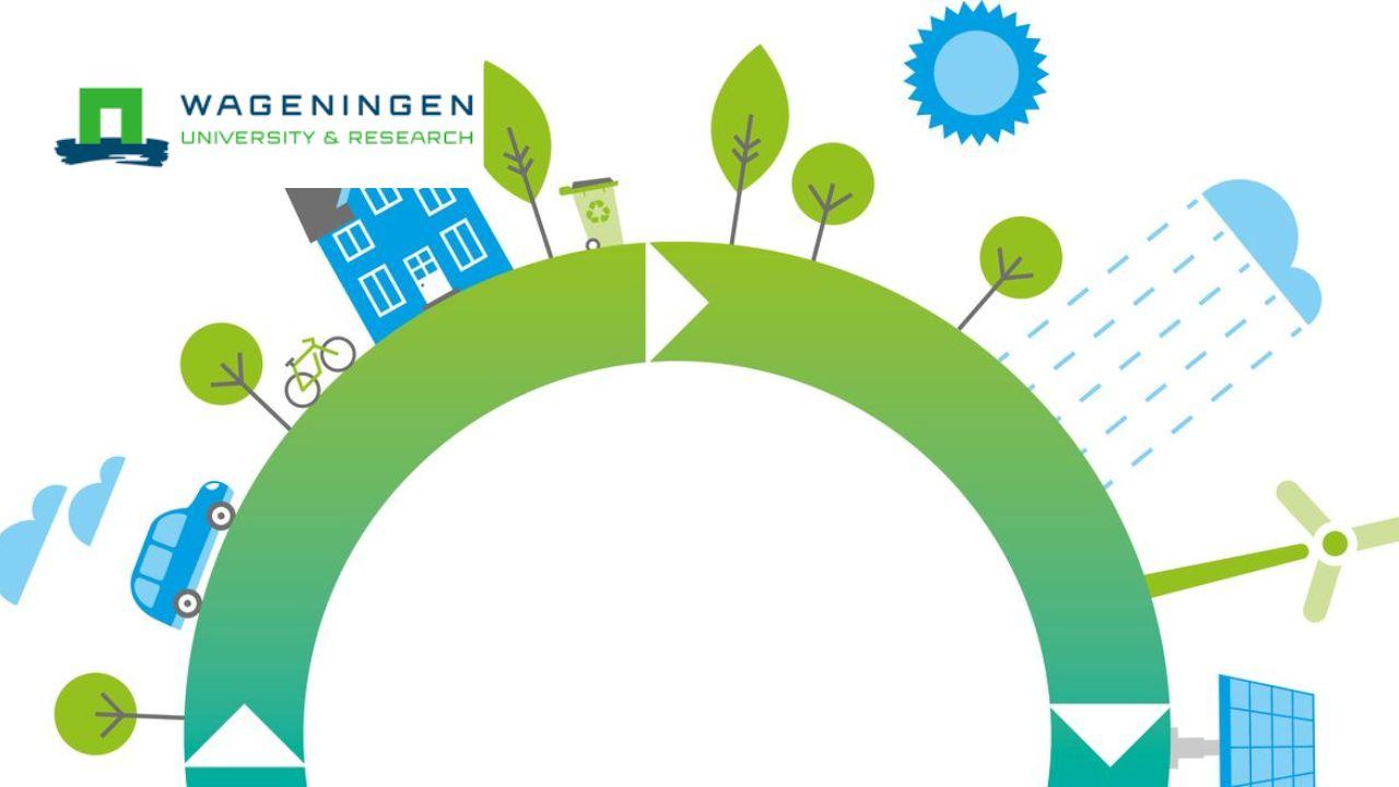 Business and Operations for a Circular Bio-Economy