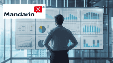 Business Mandarin Essentials