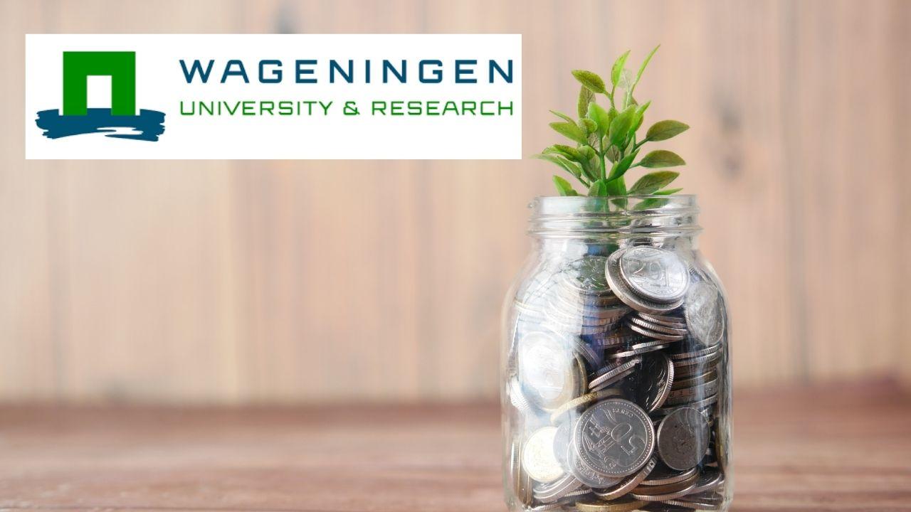 Economics and Policies in a Biobased Economy