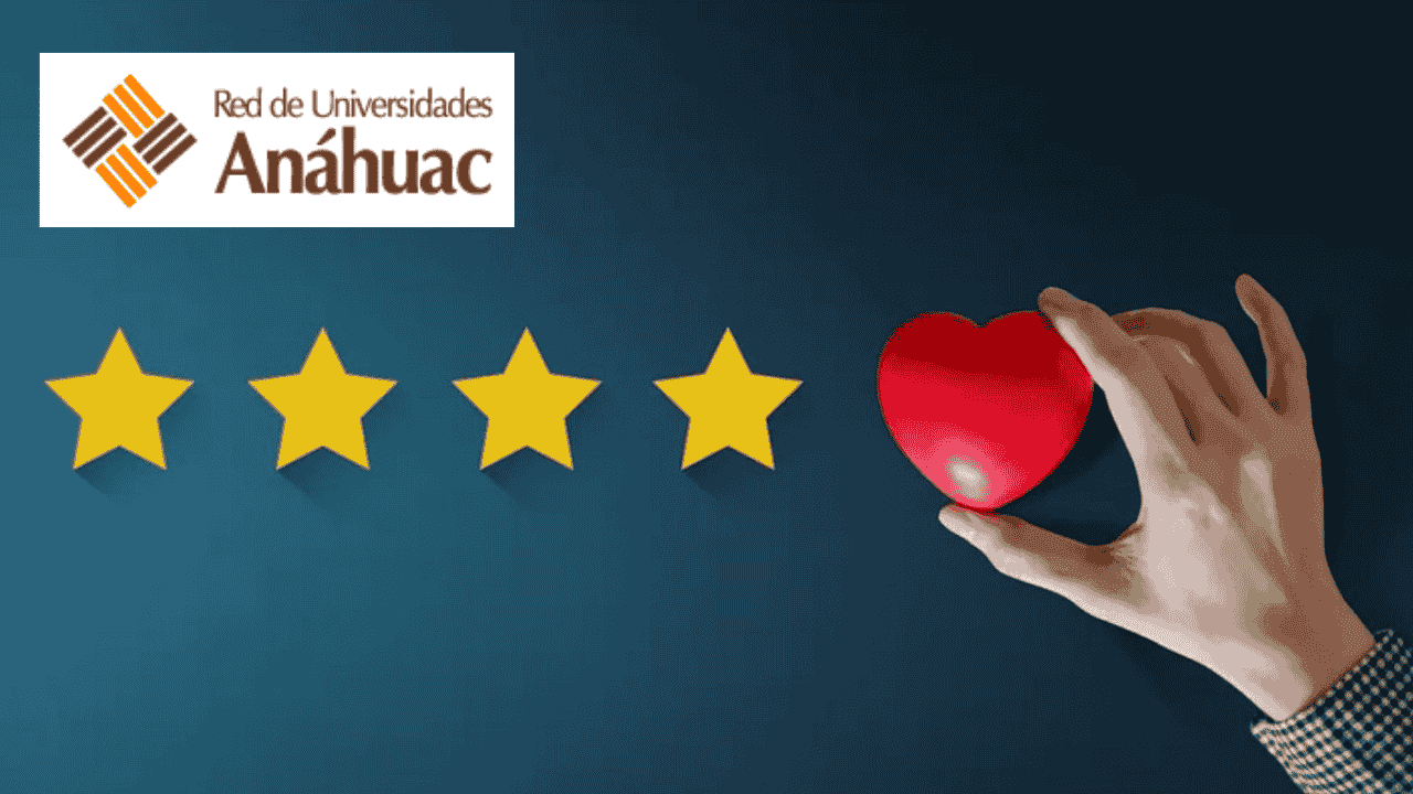 Customer Success: Understanding Your Clients