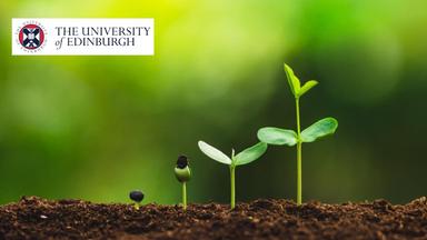 Nitrogen Management Essentials