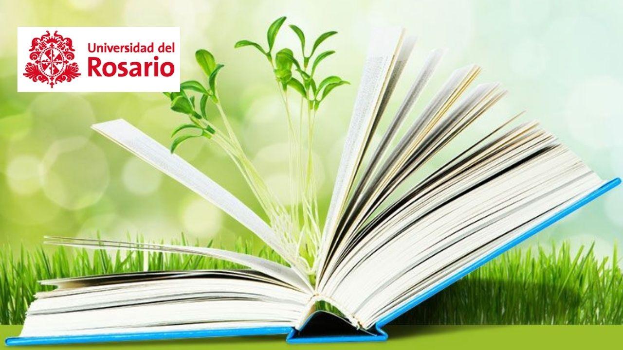 Fundamentos para los estudios socioambientales