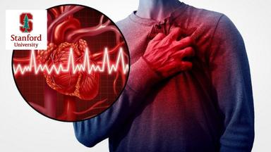 Metabolic Risk Factors in Cardiovascular Disease