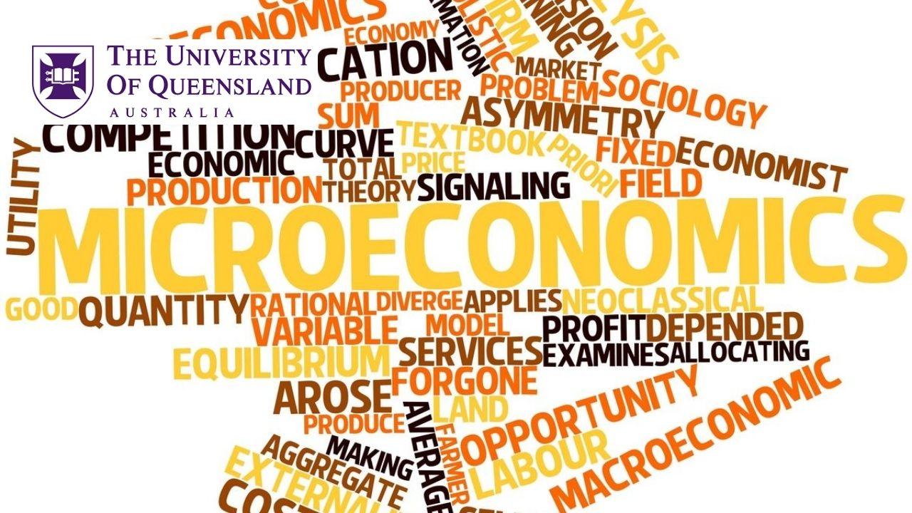 Microeconomics Professional Certificate