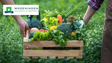 Crop Production and Soil Management