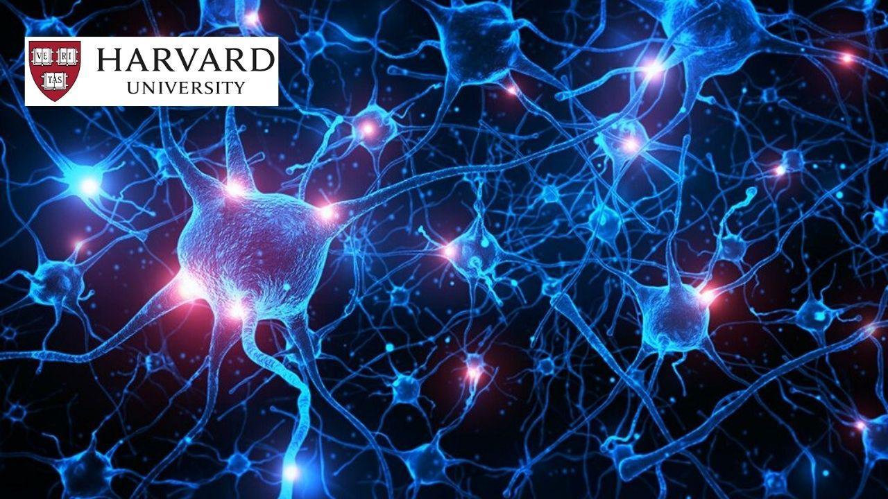 Neuroscience Final Exam
