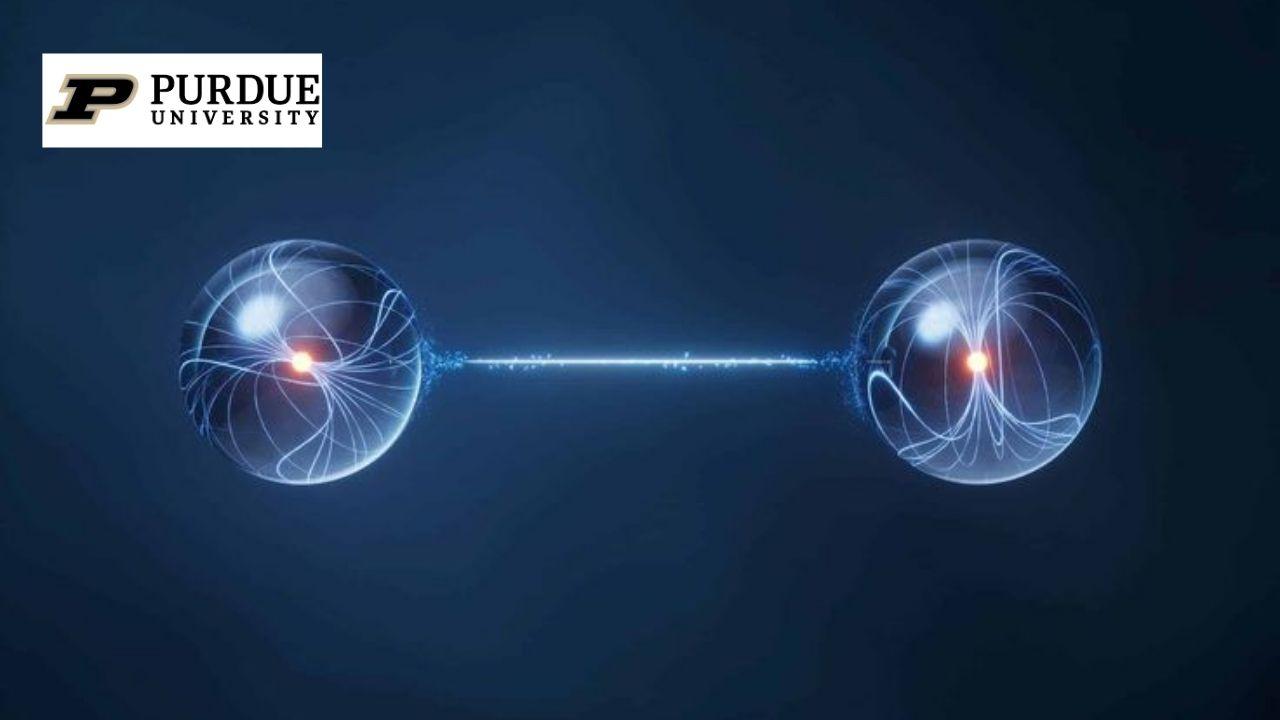 Quantum Detectors and Sensors