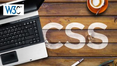 CSS Basics