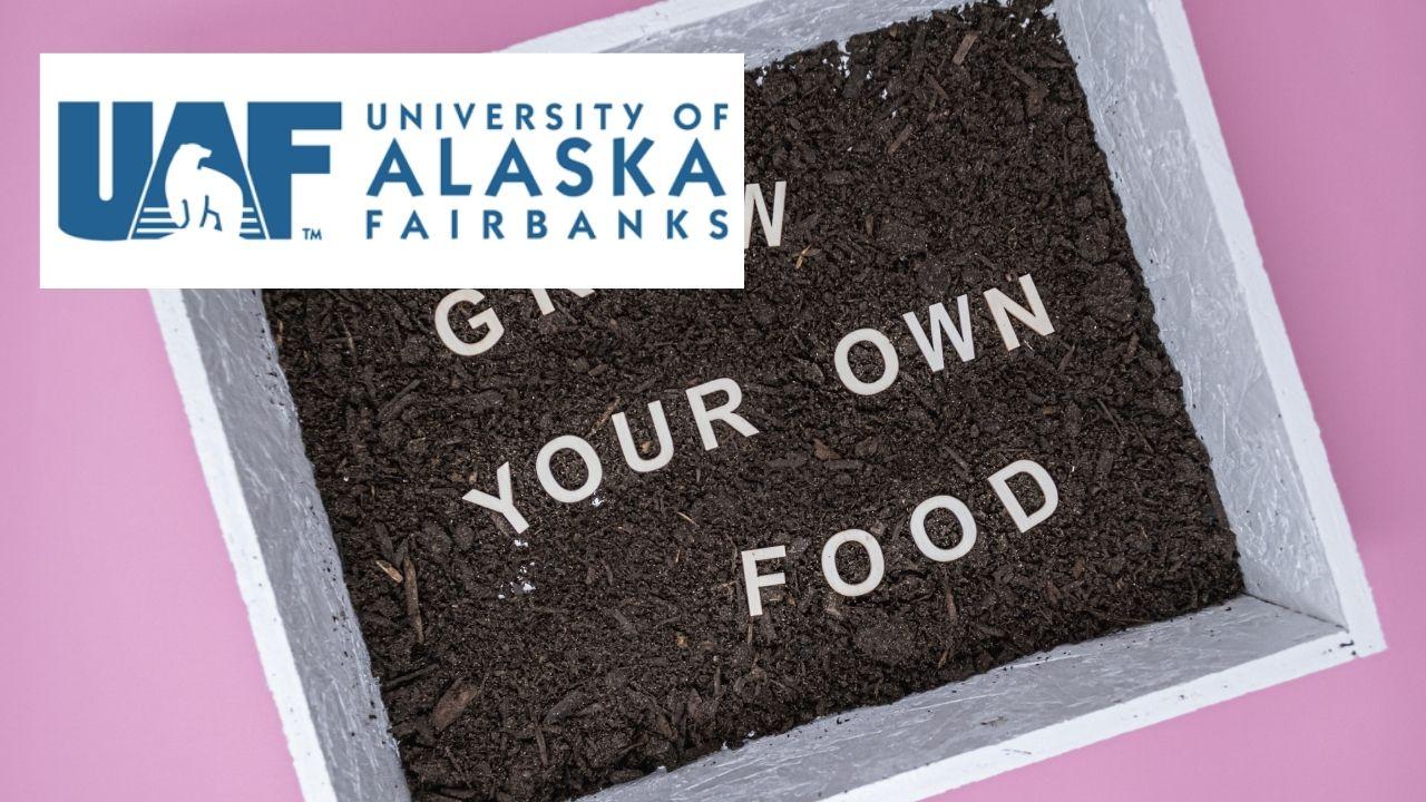 Home Gardening: Growing Your Own Food Successfully