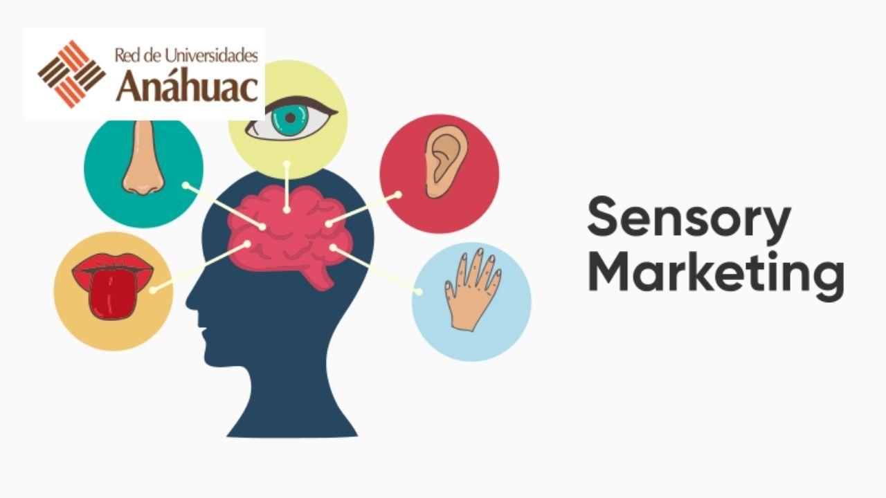 Sensory Experiential Marketing