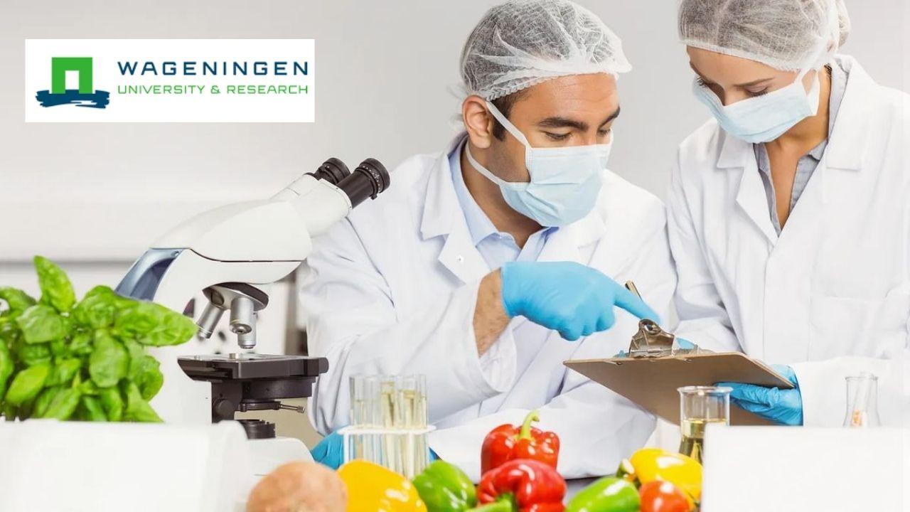 Food Security and Sustainability