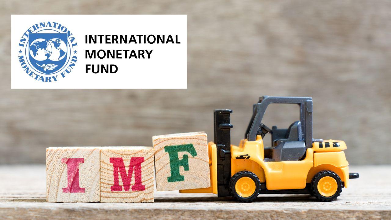 VAT Gap Estimation with IMF RA-GAP Model