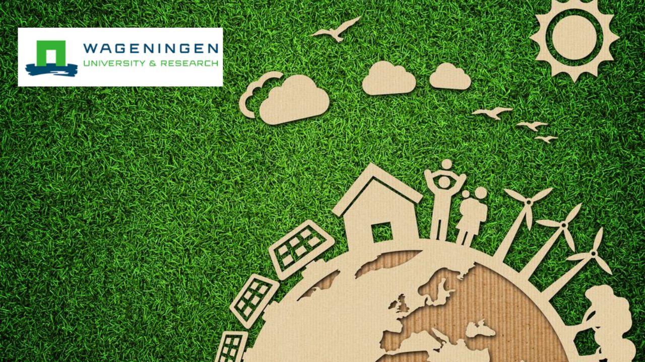 Economics and Policies for a Circular Bio-Economy
