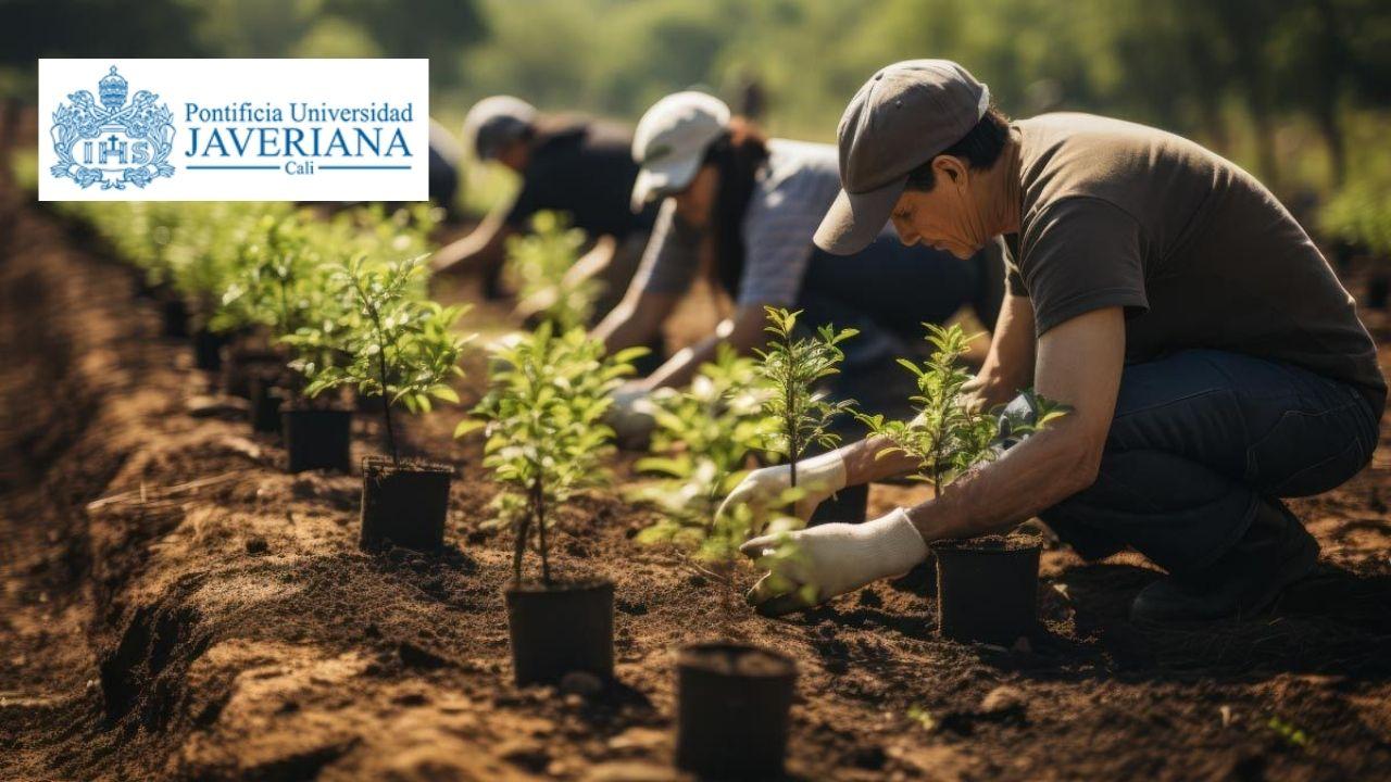Género: Perspectiva participativa en ecología y vida digital