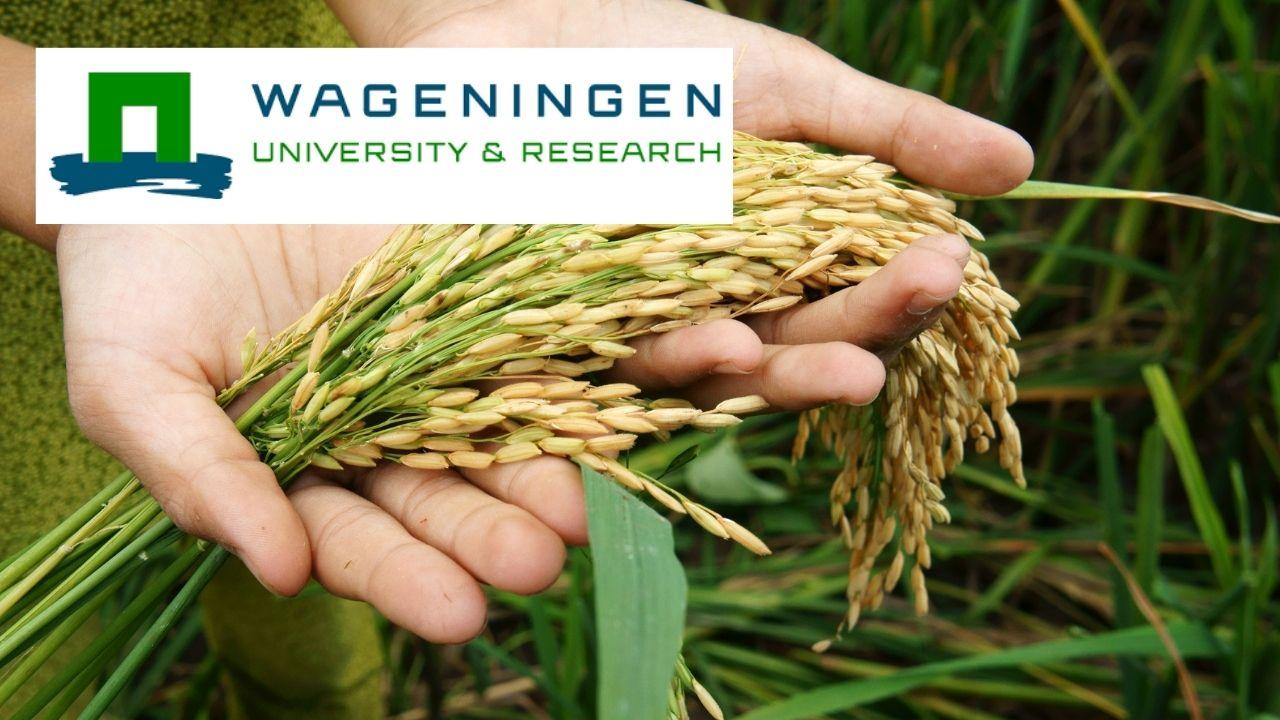 Sustainable Food Security: Crop Production