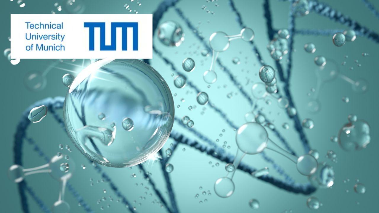 Biotech Business Guide for Scientists