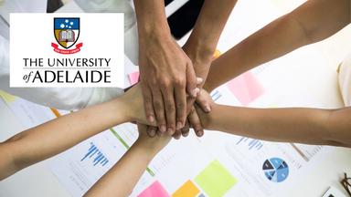 Team Empowerment: Building High-Performance Cultures