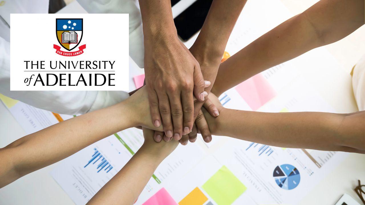 Team Empowerment: Building High-Performance Cultures