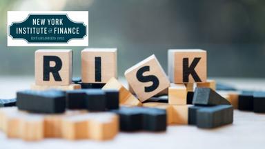 Risk Management Professional Certificate