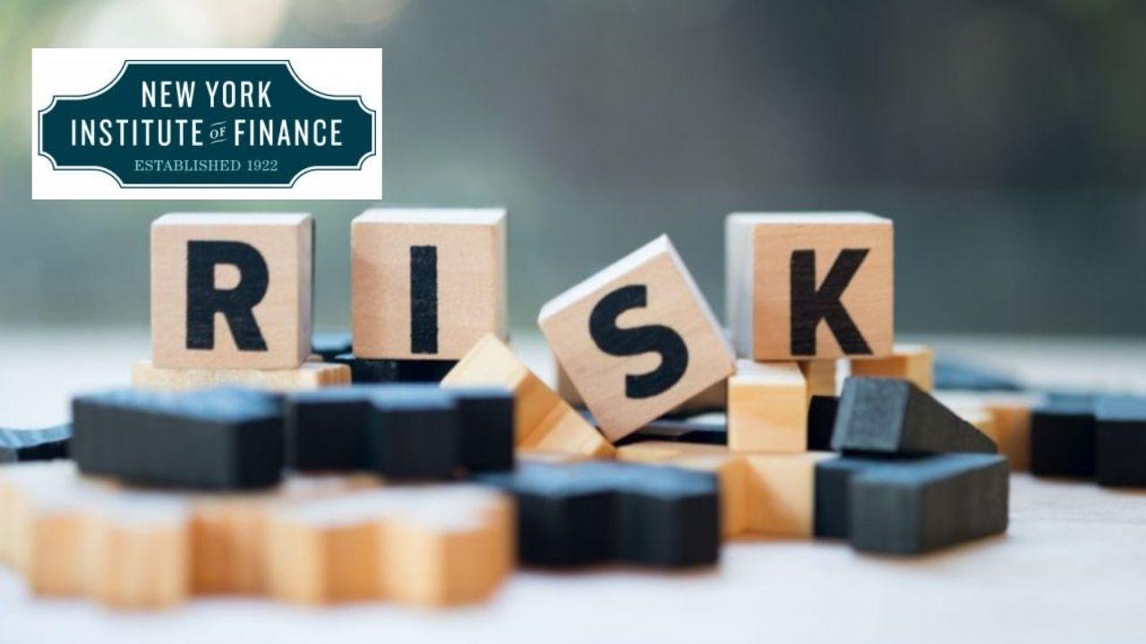 Risk Management Professional Certificate