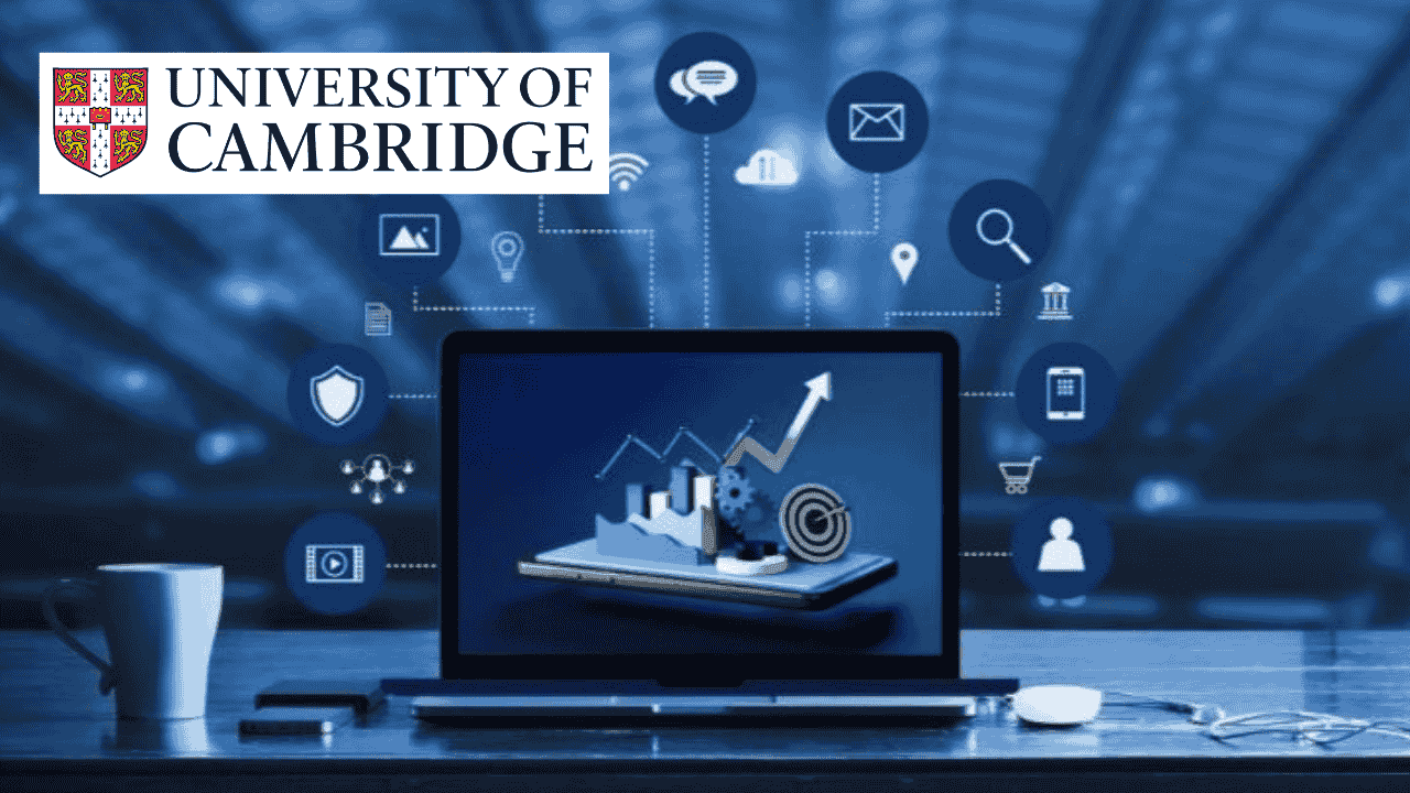 Digital Platforms in Performance