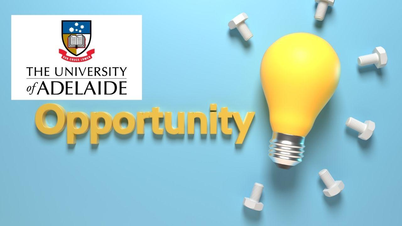 Evaluating Business Opportunities for Entrepreneurs